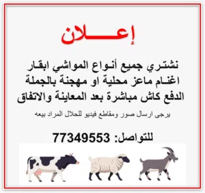 مطلوب شراء مواشي