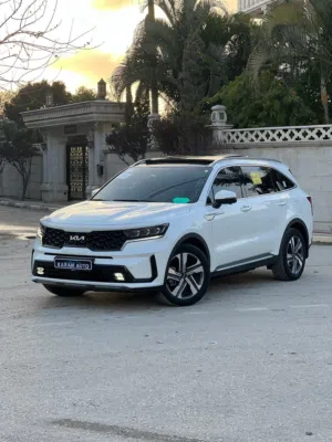 سورينتو-هايبرد-فل-الفل-ترخيص-23-غرفه-مميزه