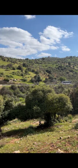 Farm Land for Sale in Ajloun Sakhra