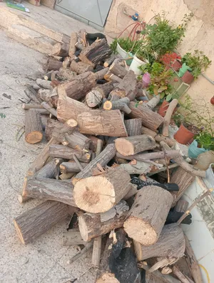 ‏تخييم ‏.‏ مستعمل‏1