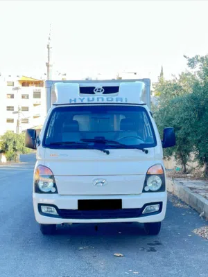 ثلاجة هونداي بورتر 2012