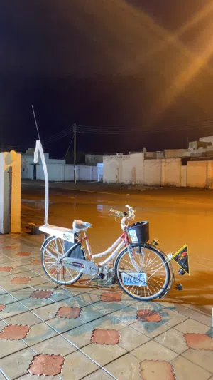 قطب سيكل ياباني اصل