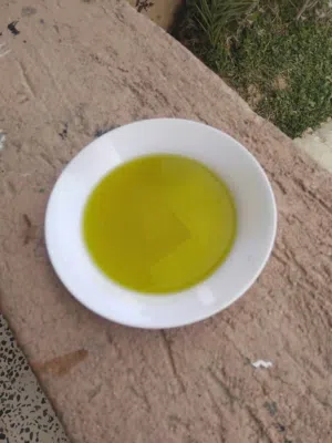 زيت زيتون بكر للبيع