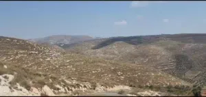 ارض للبيع في منطقه مميزه