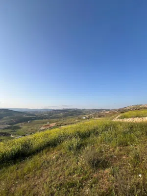 Mixed Use Land for Sale in Jerash Unaybah
