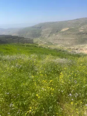 Farm Land for Sale in Salt Other