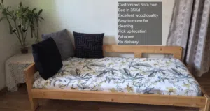 Customized Sofa cum Bed Excellent wood quality Easy to move for cleaning