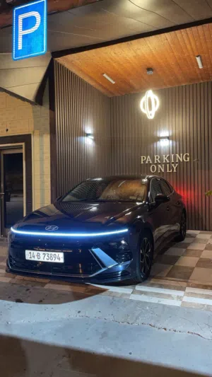 سوناتا2024