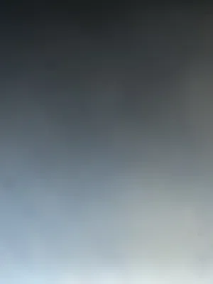 عامر رائد صلاح المناصرة 