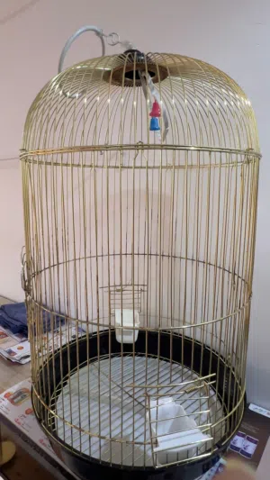 bird cage of 2 no's