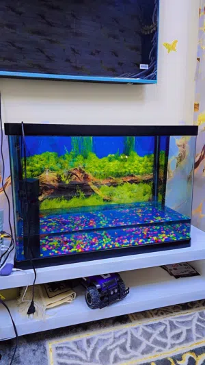 حوض اسماك زجاجي fish tank big size