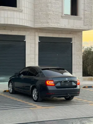 Used Skoda in Jenin