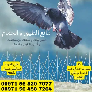 مانع الطيور bird spikes