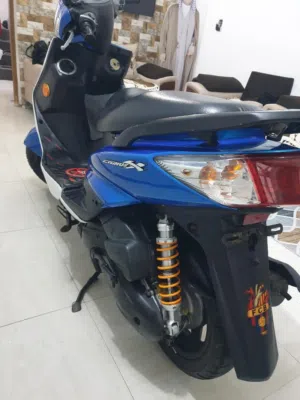 سكنس فحل ادخل شوف الوصف