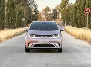 بي واي دي دولڤن 2022 بنوراما خمس كاميرات