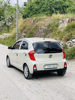 used-kia-picanto-in-tulkarm