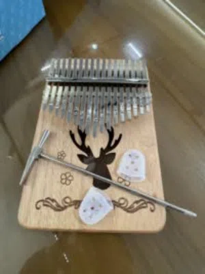 كاليمبا حجم كبير مع كامل اغراضها Kalimba