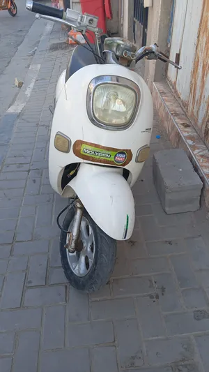 Other ‏Other ‏2023 ‏11- 250 cc