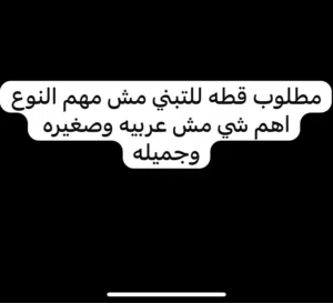 مطلوب قطوسه للتبني مش مهم النوع اهم شي مش عربيه وجميله ومش مريضه ولا فيها حاجه