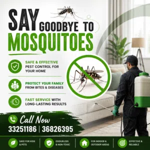 Professional Pest Control Services – Total Protection for Your Home & Business