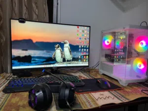 Pc & ps5.....