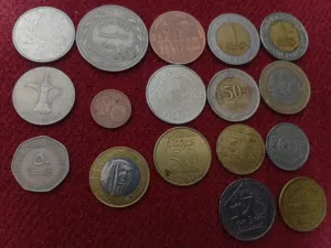 كم يسو هذول و شكرا جزيلا فضلا وليس امرا و تحياتي