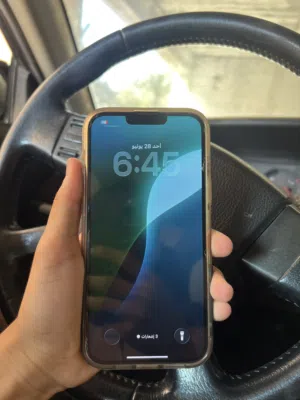 iPhone 13pro max