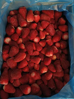 Vegetable & Fruit0