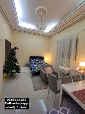 66 m2 Studio Apartments for Rent in Al Ain Al Masoodi