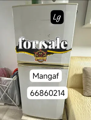 LG double door fridge