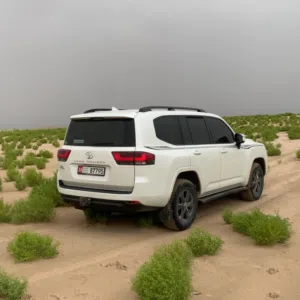 الصيعري 