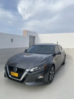 نيسان التيماء 2022
