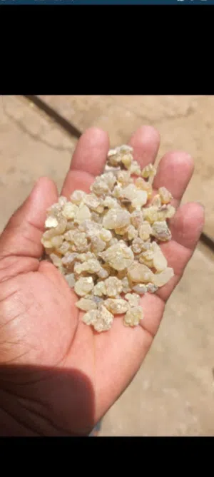 لبان ذكر وكركدي سوداني إنتاج العام  جوده عاليه منتجات طبيعيه ميه في الميه
