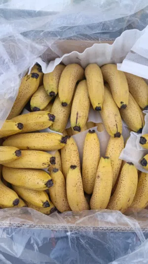 Fresh Vegetables & High Quality  Fruits available