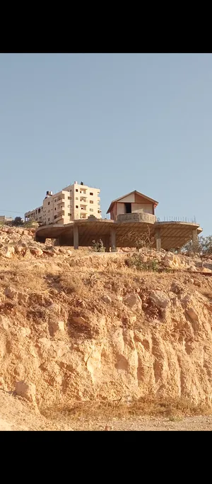‏شقة ‏.‏ فلسطين ‏.‏ المالك‏0