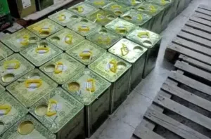 زيت زيتون بلدي مضمون عالفحص   زيت السنة 2025 عصر شهر 1   فقط((55))دينار مكفول 100% شامل التوصيل