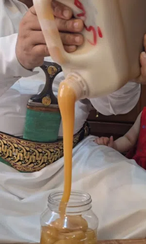 عسل سدر عصيمي وشبواني ملكي يمني اصلي من قلب جبال اليمن