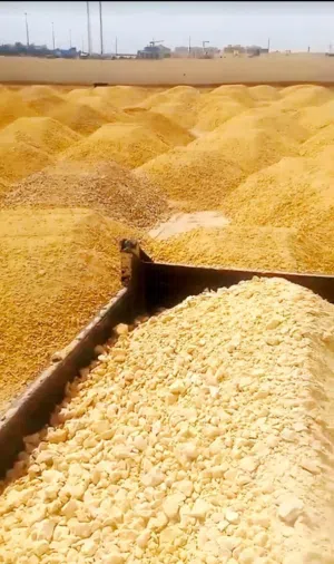 أبو ألياس لتوريد جميع انواع الدفان والرمل والبحص
