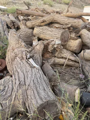 حطب سمر جميع الأحجام متوفر