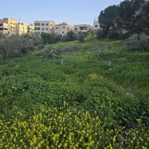 Residential Land for Sale in Amman Umm Nowarah