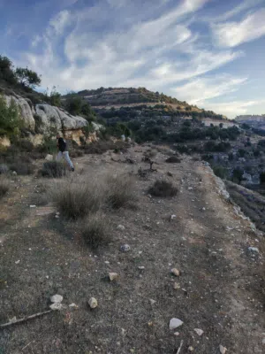 Mixed Use . 1000 m2 . Landlord0