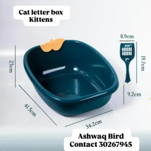 cat letter box