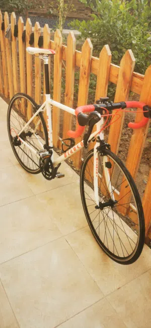 دراجة هوائية أصلية سيكل ريس بينشي نظيفة جدا