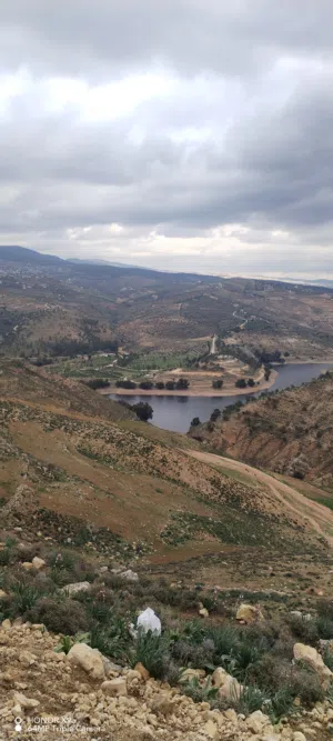Farm Land for Sale in Jerash Tal Al-Rumman