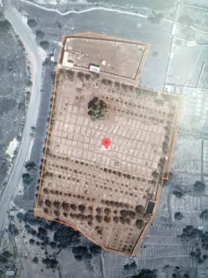 مزرعة للبيع في ولاية محضه المساحه 16153 بها عدد 2 ابار مرخصه ماء وغرفتين للعمال