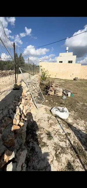 Mixed Use . 630 m2 . Landlord0