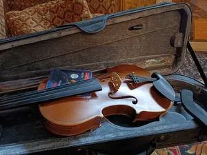 Violins & Other Strings . New2