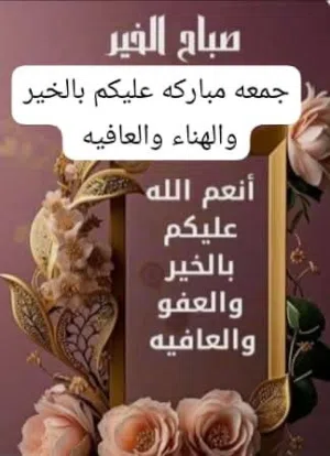 مكينة غسيل الالي ايطالية صيانة تام