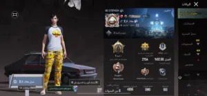 Pubg Accounts and Characters for Sale in Al Dakhiliya