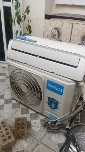 سبلت 1 طن الوادي انتاج جديد اخو الجديد